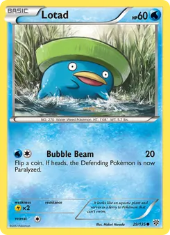 Lotad #29