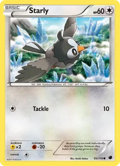 Starly #95