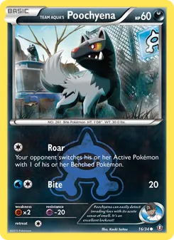 Team Aqua's Poochyena #16