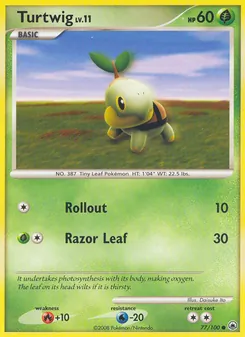 Turtwig #77
