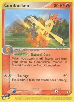 Combusken #28