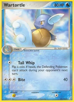 Wartortle #43