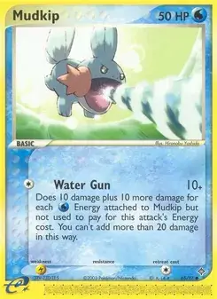 Mudkip #65