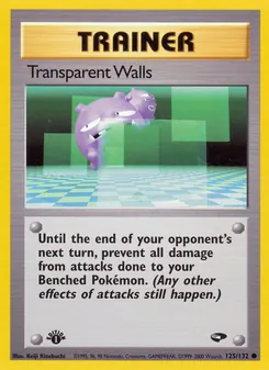 Transparent Walls #125