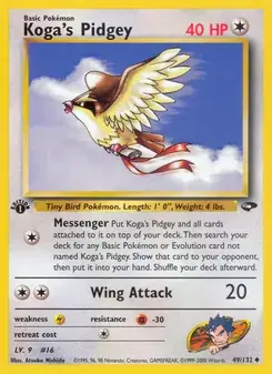 Koga's Pidgey #49