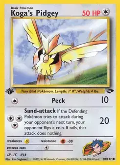 Koga's Pidgey #80