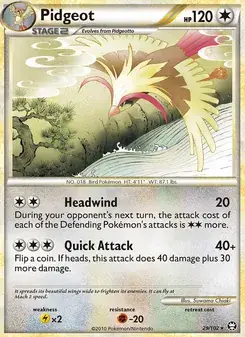 Pidgeot #29