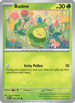 Budew #016