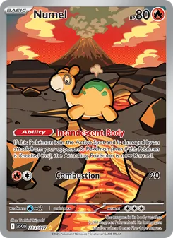 Numel #223