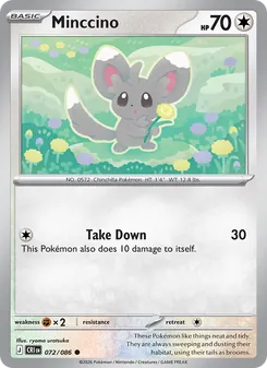 Minccino #072