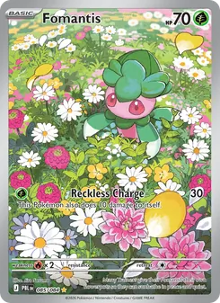 Fomantis #085