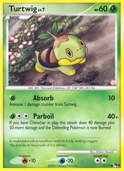 Turtwig #17