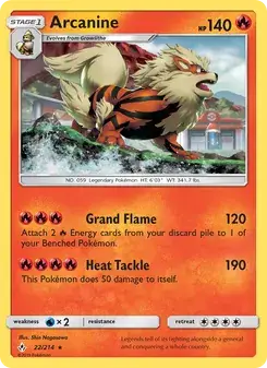 Arcanine #22