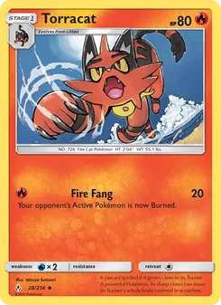 Torracat #28
