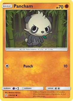 Pancham #119