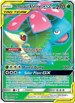 Venusaur & Snivy GX #210