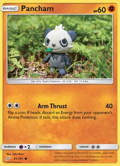 Pancham #81
