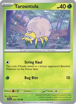 Tarountula #016