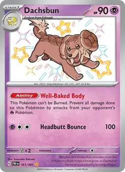 Dachsbun #161