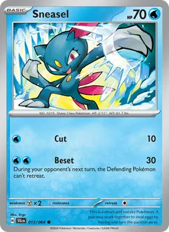 Sneasel #013