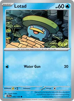 Lotad #035
