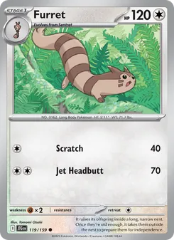 Furret #119