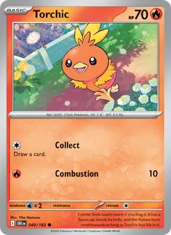 Torchic #040