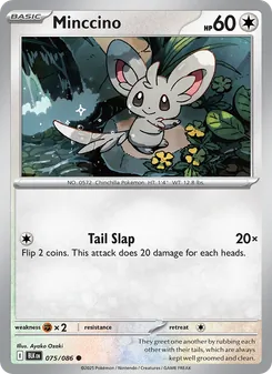 Minccino #075