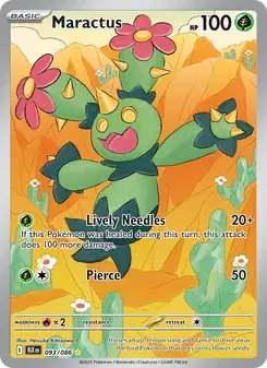 Maractus #093
