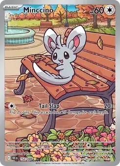 Minccino #152