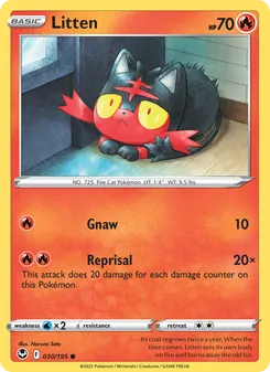 Litten #030