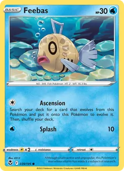 Feebas #039