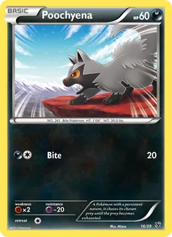 Poochyena #16