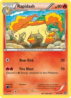 Rapidash #17