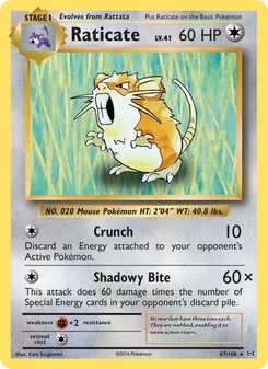 Raticate #67