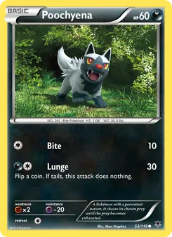 Poochyena #53