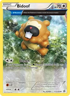 Bidoof #117