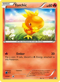 Torchic #XY37