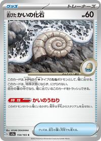 Antique Helix Fossil #154/165