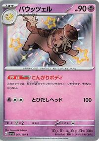 Dachsbun - 267/190 #267/190