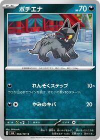 Poochyena #066/101