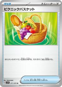 Picnic Basket #071/078