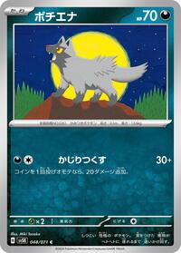 Poochyena #048/071
