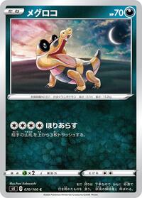 Sandile #070/100