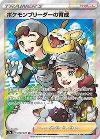 Pokemon Breeder's Nurturing - 078/070 #078/070