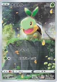 Turtwig - 206/172 #206/172