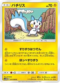 Pachirisu #021/066