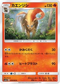 Pyroar #016/060