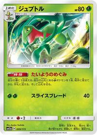 Grovyle #009/173