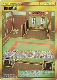 Martial Arts Dojo #079/064
